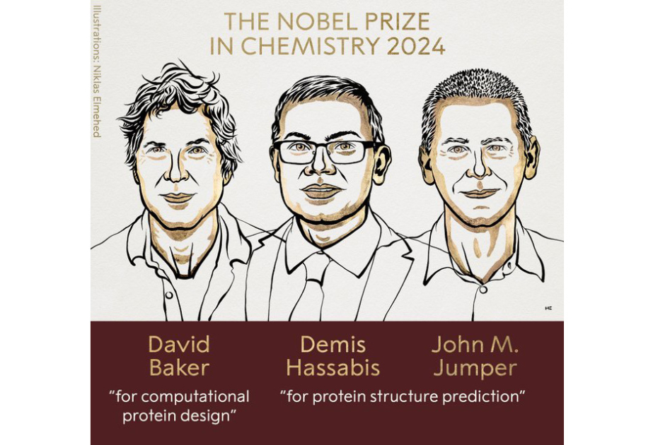 David Baker, Demis Hassabis, and John Jumper win 2024 Nobel Prize in chemistry