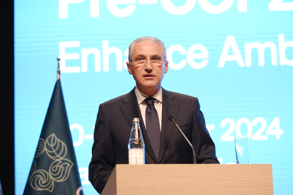 Pre-COP29 event kicks off in Baku