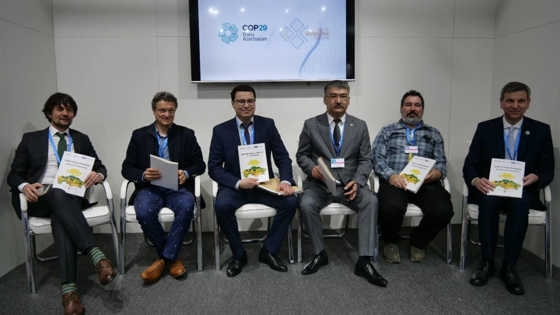 Kazakhstan presents initiative to develop carbon farming at COP29