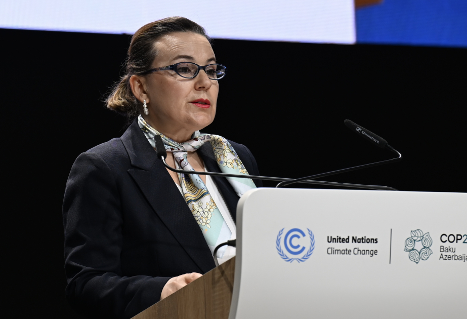 Everyone must contribute to climate action, says UNFCCC deputy executive secretary