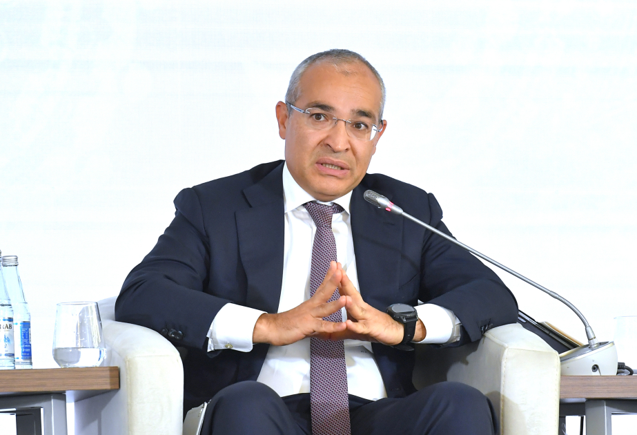 Minister: Italy is Azerbaijan's key trade and economic partner