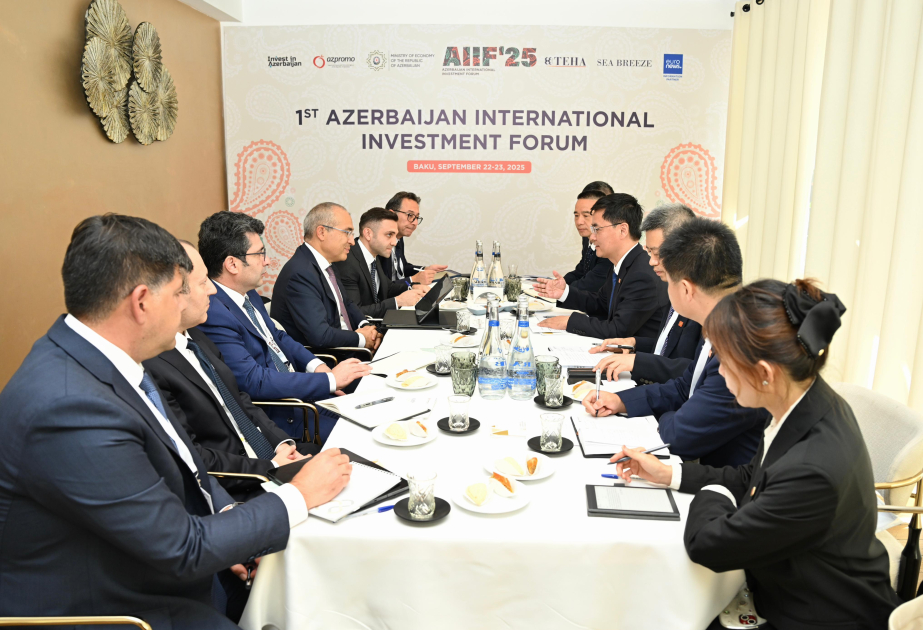 Azerbaijan, China explore cooperation in green energy, infrastructure and industry