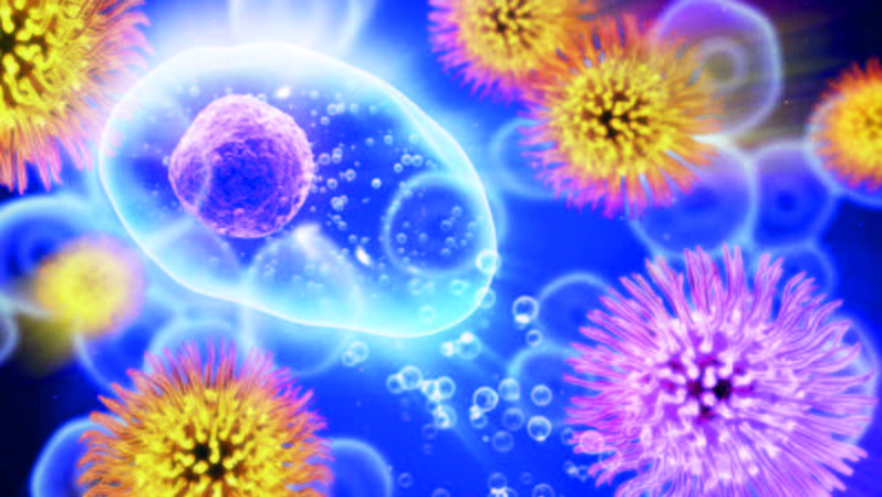 Ötən illə müqayisədə yoluxmalar azalıb