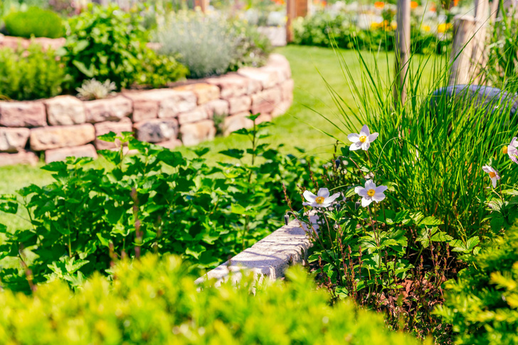 Как украсить сад: 15 интересных идей для дачи