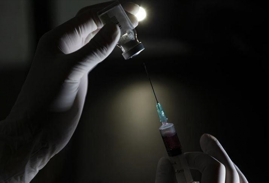 Cameroon launches world's 1st malaria vaccine campaign