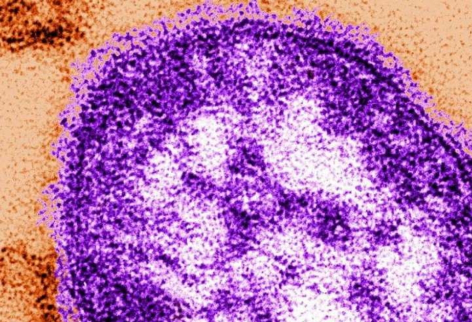 WHO: “Alarming” rise of measles cases in Europe
