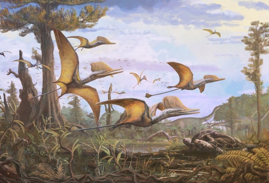 Pterosaur: Unique flying reptile soared above Isle of Skye