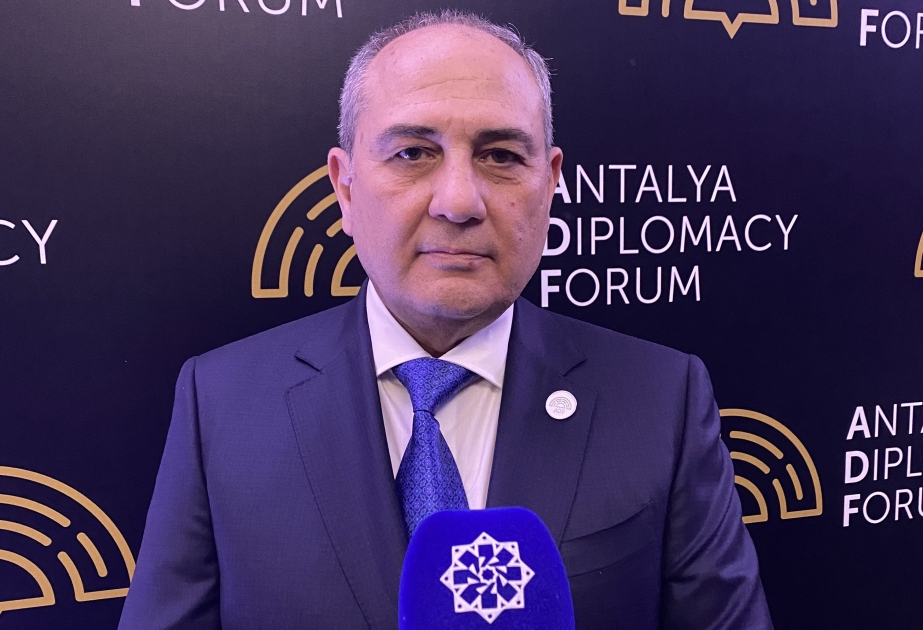 Fraternal Azerbaijan-Türkiye relations paved way for strengthening interparty ties between two countries, says NAP deputy chairman