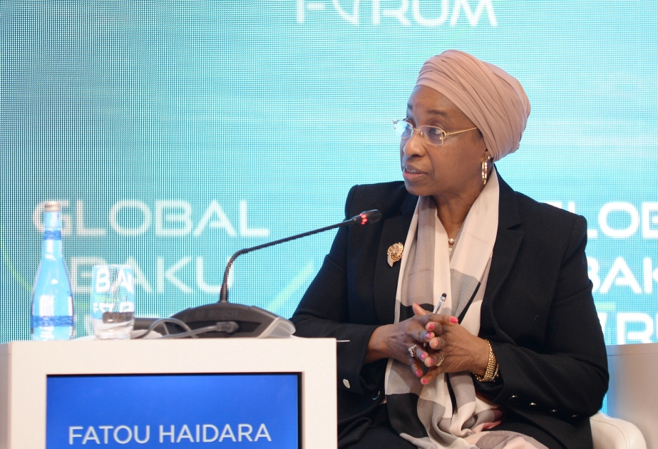 Fatou Haidara: COP29 confronts challenges in addressing complex issues