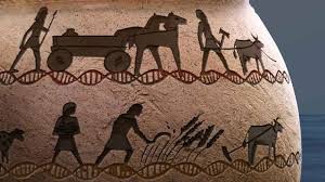 Gene that protected humans 5,000 years ago may be linked to debilitating modern disease
