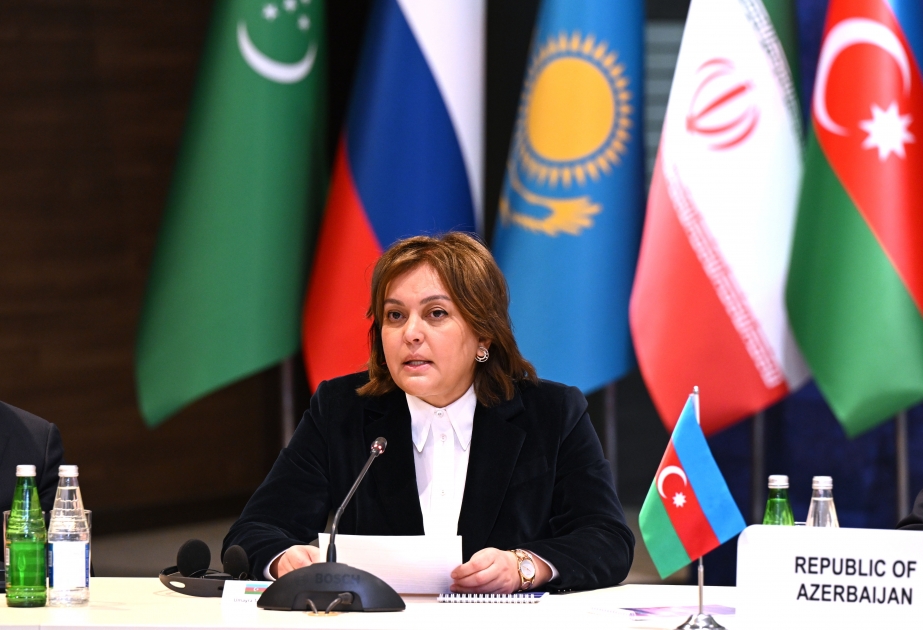 COP29 will feature initiative regarding Caspian Sea, says Deputy Minister
