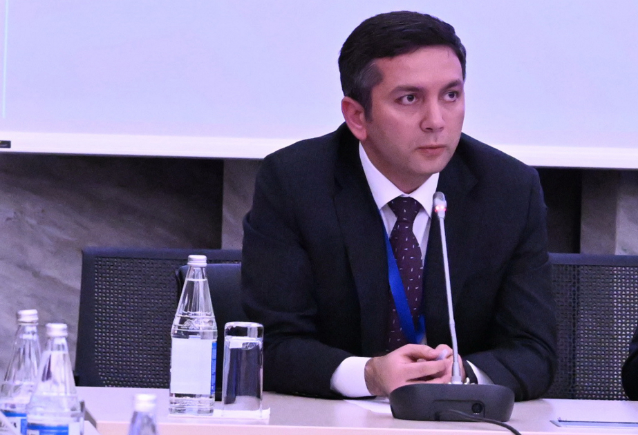 Ялчин Рафиев: Деятельность команды COP29 по субстантивным вопросам охватывает три основных направления