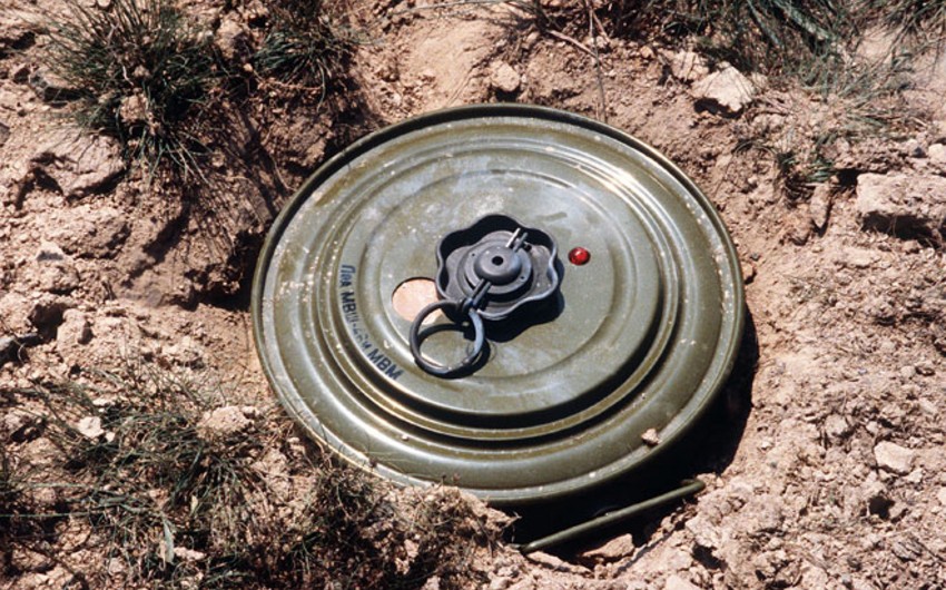 Armenian Defense Ministry clears mines near Azerbaijani border