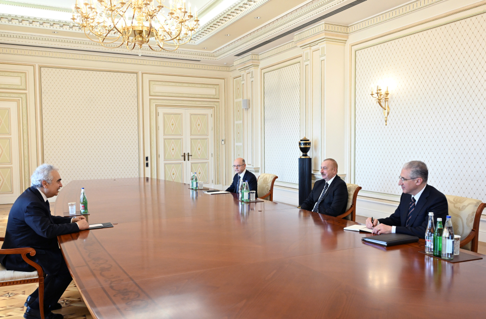 Президент Ильхам Алиев принял исполнительного директора Международного энергетического агентства