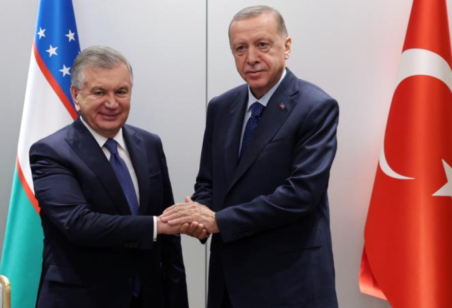 В Анкаре пройдут переговоры лидеров Турции и Узбекистана