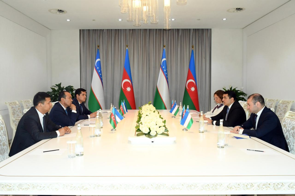 Azerbaijan, Uzbekistan discuss cultural relations