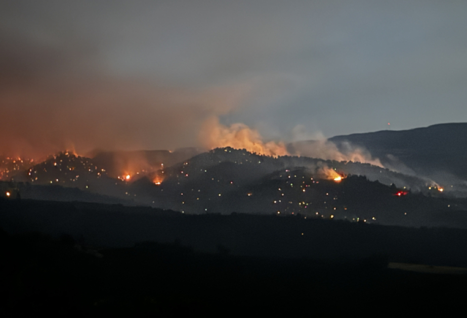 В Турции за последние три недели произошло 399 лесных пожаро