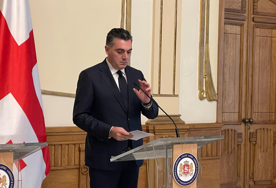 Илия Дарчиашвили: Грузия и Азербайджан поддерживают территориальную целостность друг друга