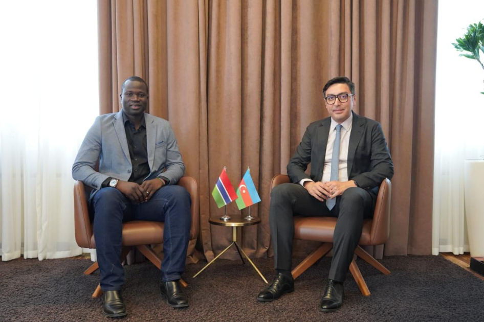 Azerbaijani Youth and Sports minister meets with his Chadian counterpart