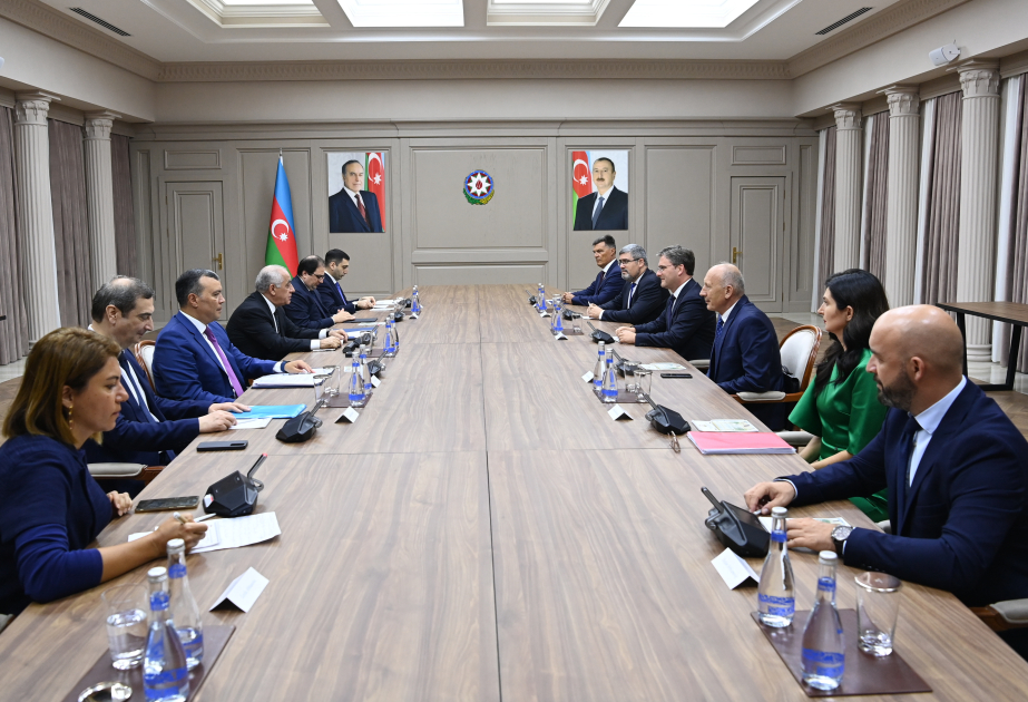Azerbaijan and Serbia discuss prospects for future cooperation